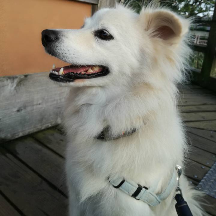 A2b47725 5ef8 4e0c 86f9 8baf137a03a9