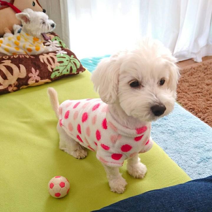 A2b487d4 4623 4347 b43c f99b54ec067c