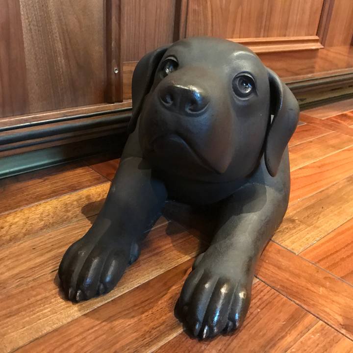 A2b51c8e eb19 4870 a33e 787b5bfa88b1