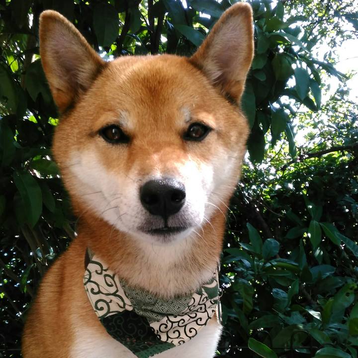 A2b56b7b 655a 41b8 acca 2496829cb24e