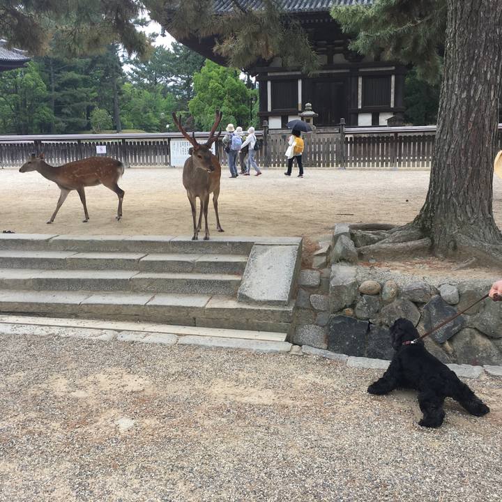 A2b5b4b4 7e86 481b a38d f042d488fb81