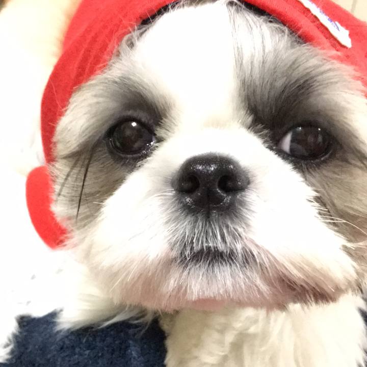 A2b603e8 1390 44cd b9a5 585b872b5878