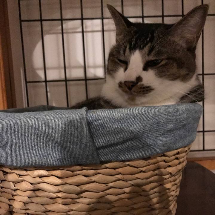 A2b67e86 64dc 4058 8f49 6a34db81a806