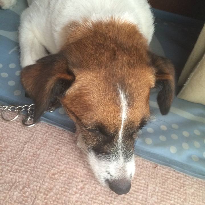 A2b6965b 58df 4287 9f52 7a213d857bb6