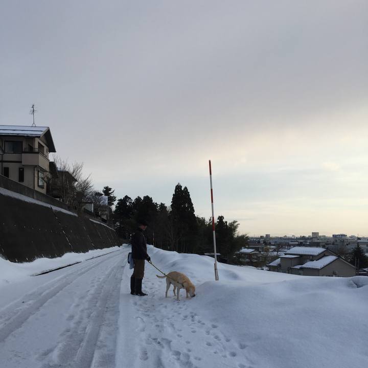 A2b74409 6ece 4148 9472 4606d895ac8a