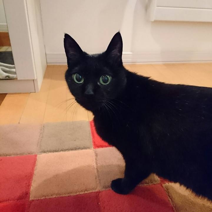 A2b757d3 f67e 4f98 9d65 da9a483b355c