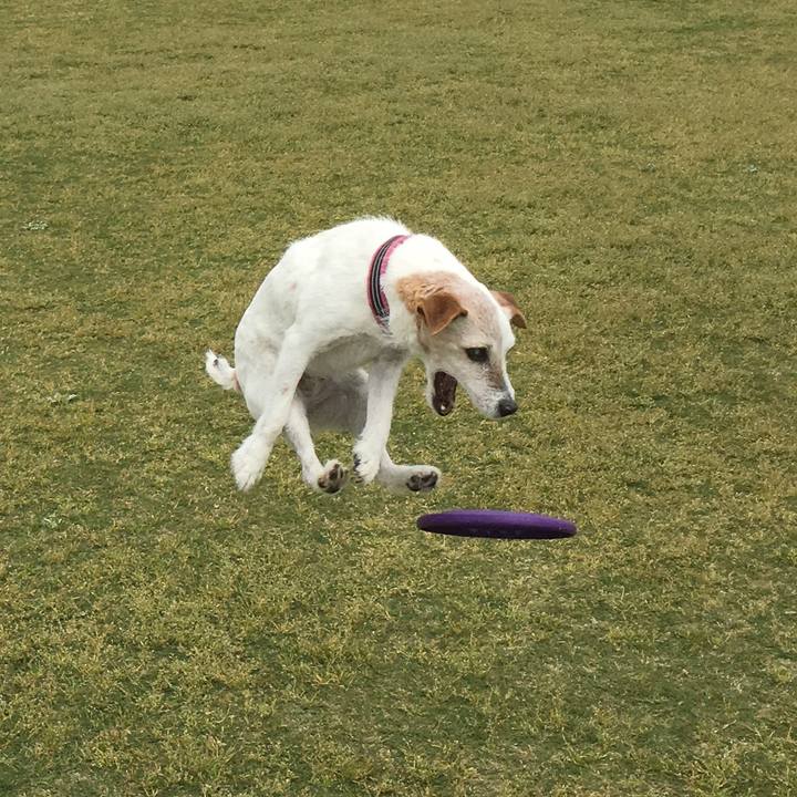 A2b7b754 3073 411f a4f9 4a5d52f923d7