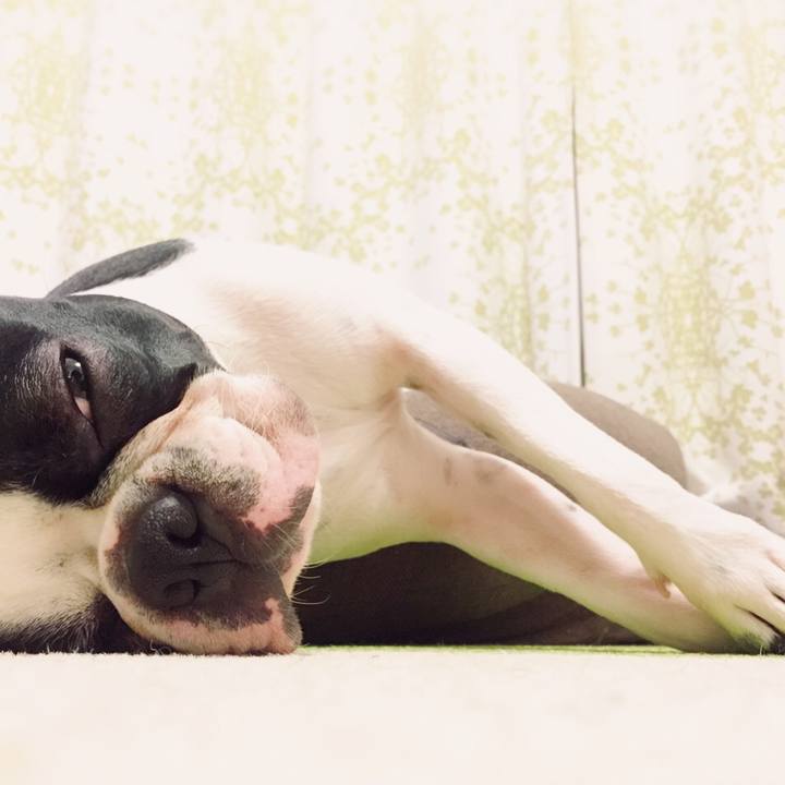 A2b7e047 b914 48f4 b1ac 179394de5cb8