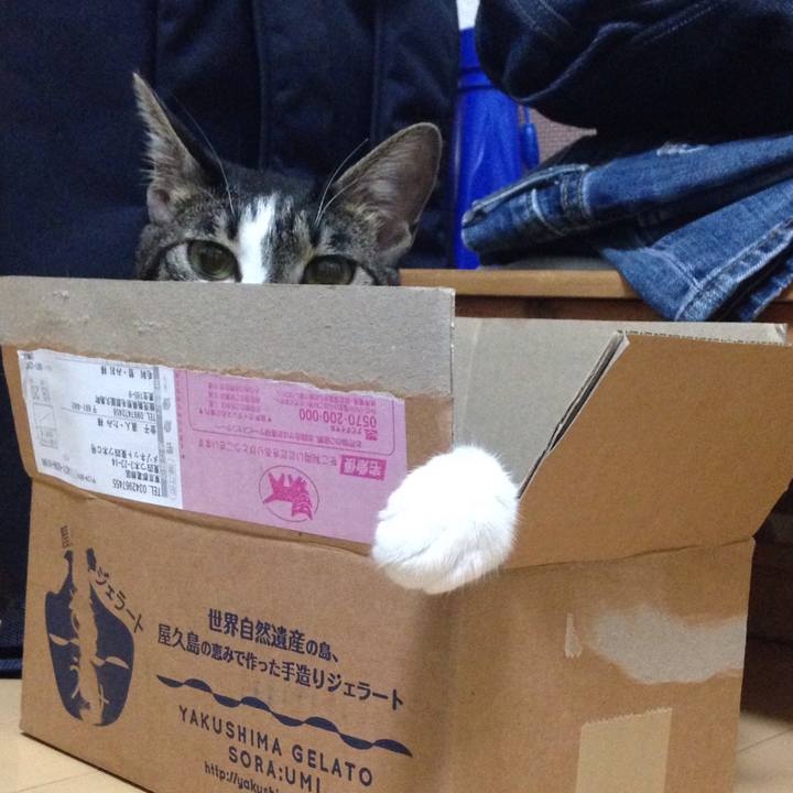 A2b8ab4d 25f4 4b53 a324 f91f6381c926