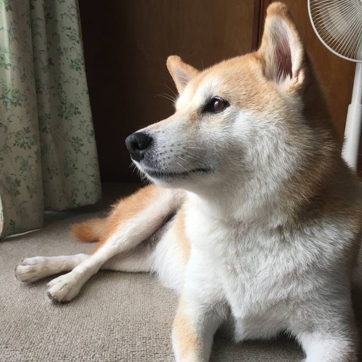 A2b9caf9 7e10 4f29 9240 bed112b60be9