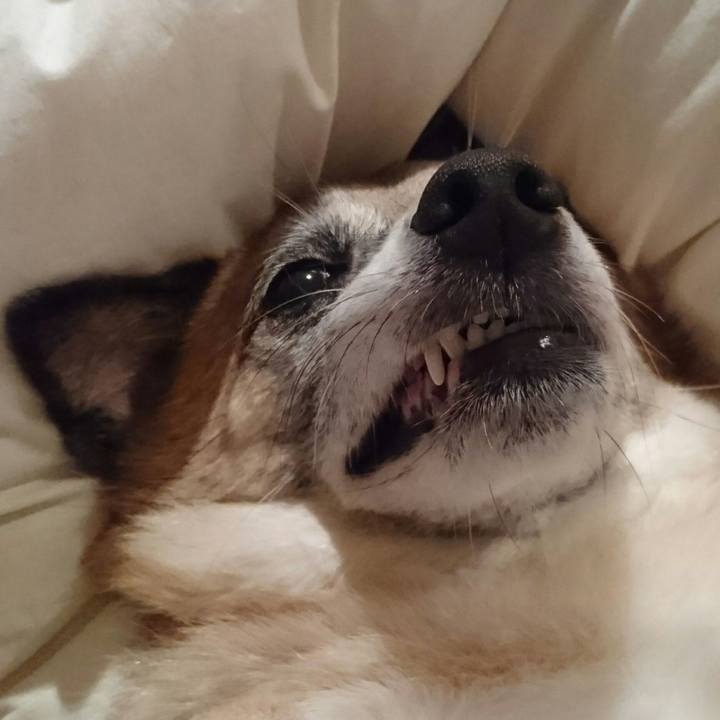 A2ba7067 eaed 4a1a 9858 6e8d80f16e1b