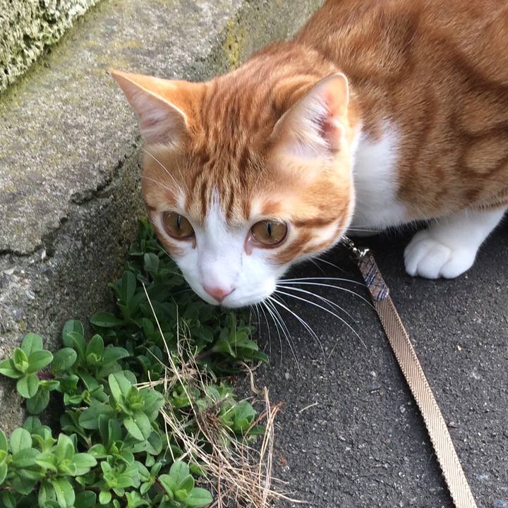 A2ba89a5 e603 4a1e a0f7 c3676d7ad9bd