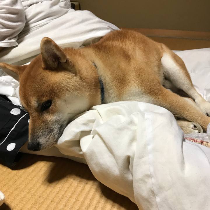 A2bae332 eb6a 4cf8 8e07 315931c29450