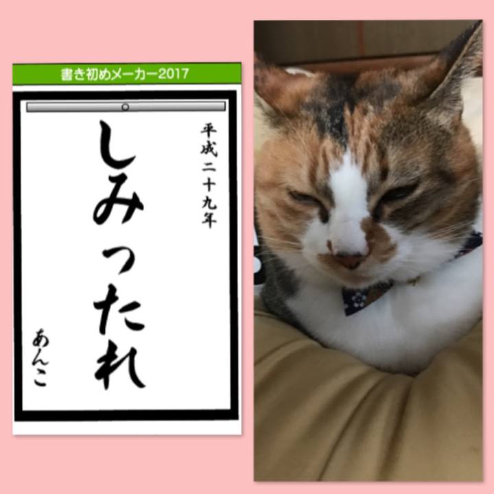 A2bb5582 6735 4206 bf25 bd3e7164e0e7