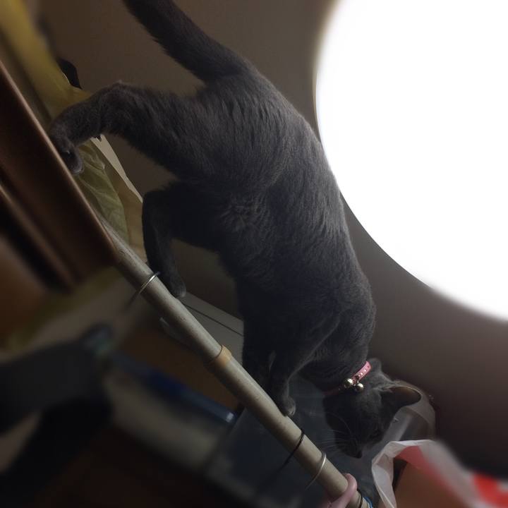 A2bbe960 f6a4 414d a936 afb1b6b8640b