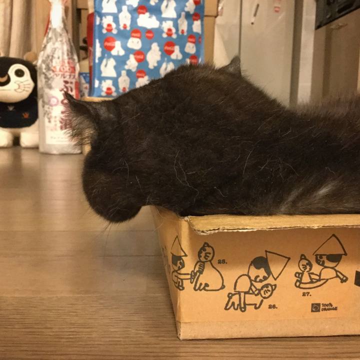 A2bc0296 ef65 404b ab0d 8c14a20e7d5b