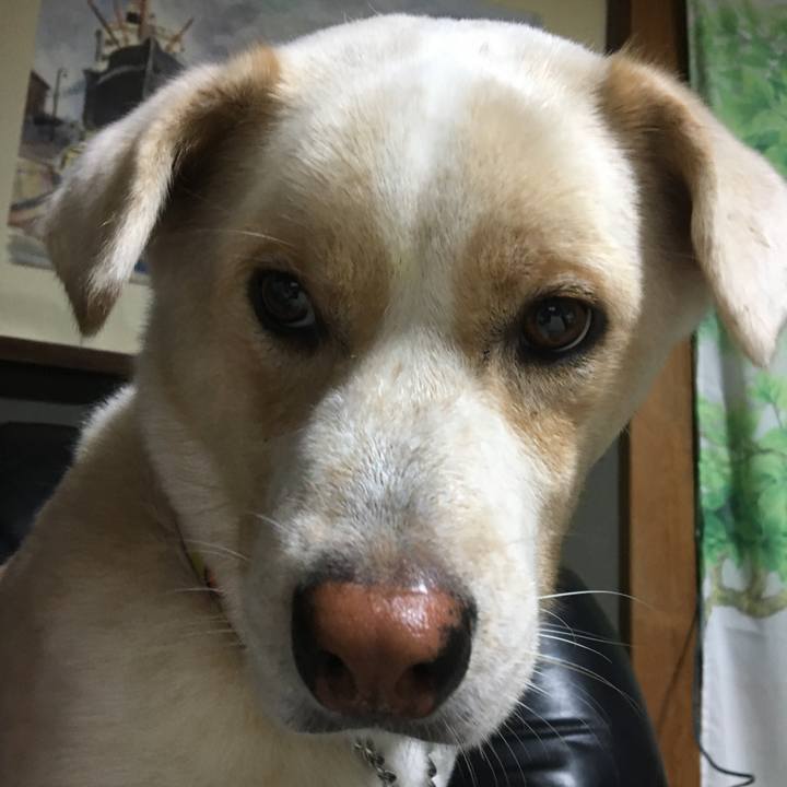 A2bc6706 3144 40c3 a3ea c276b4b4b471