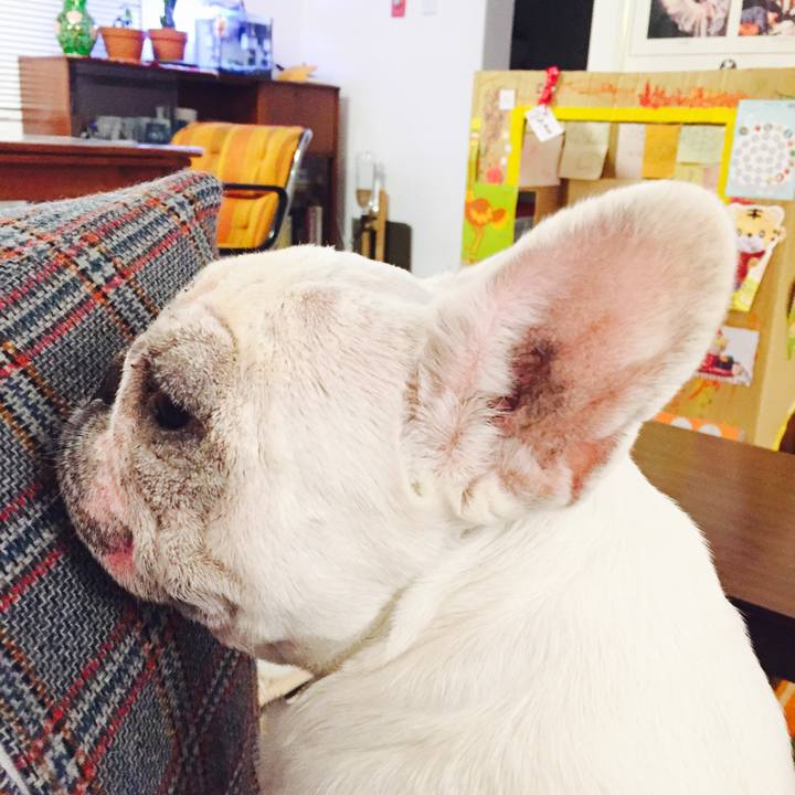 A2bd17b2 93e2 46c9 a4da 088b0ea542a2