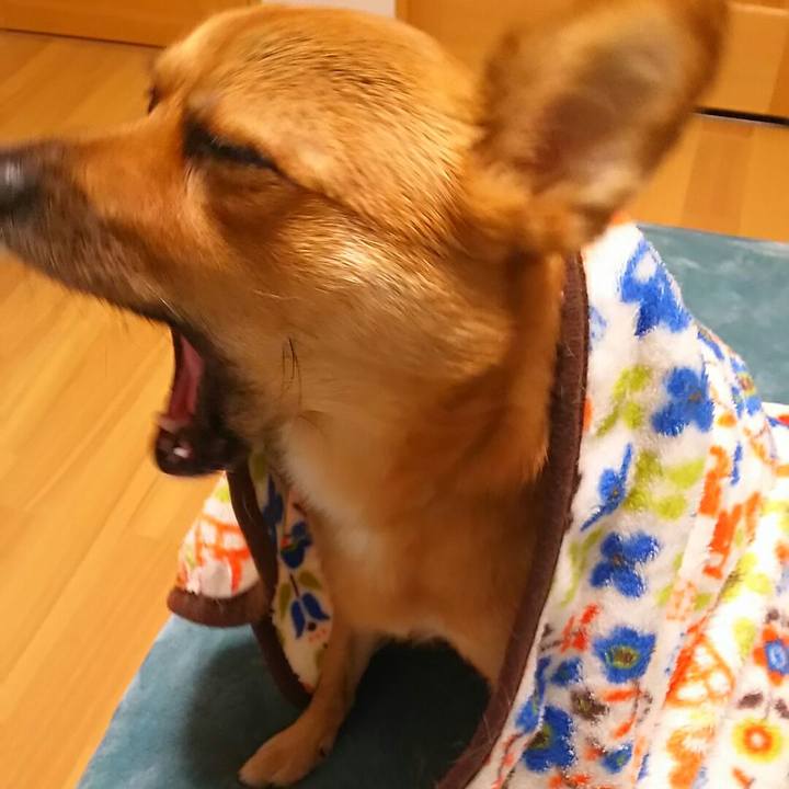 A2bda807 c0aa 4c78 9f99 557cfe7701e5