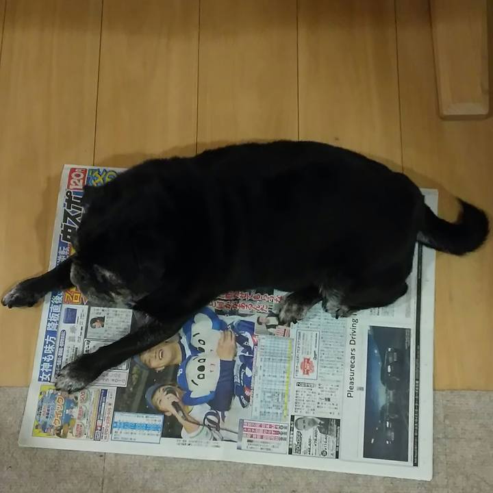 A2bdc0f2 bc5f 438c 9708 869ddcd50d0a