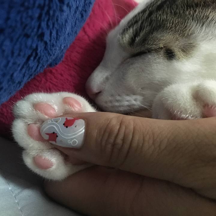 A2be9c71 0521 4f48 89e8 42f7c78c7bab