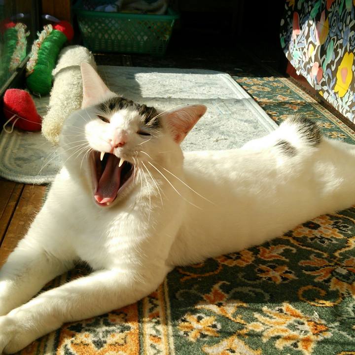 A2beb731 9e7a 4d8a 8247 dbbb130597d2