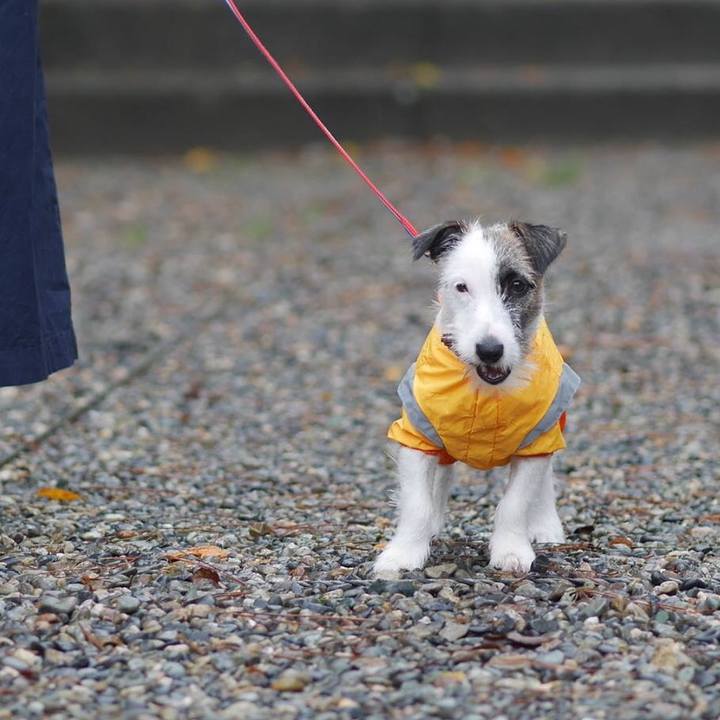 A2bf6760 c677 466c 9f75 91a7767478f9