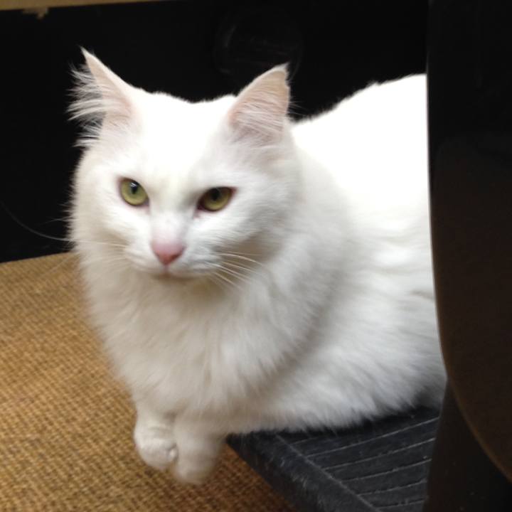 A2bf87b2 0071 42fd 8b84 e588f86469ec