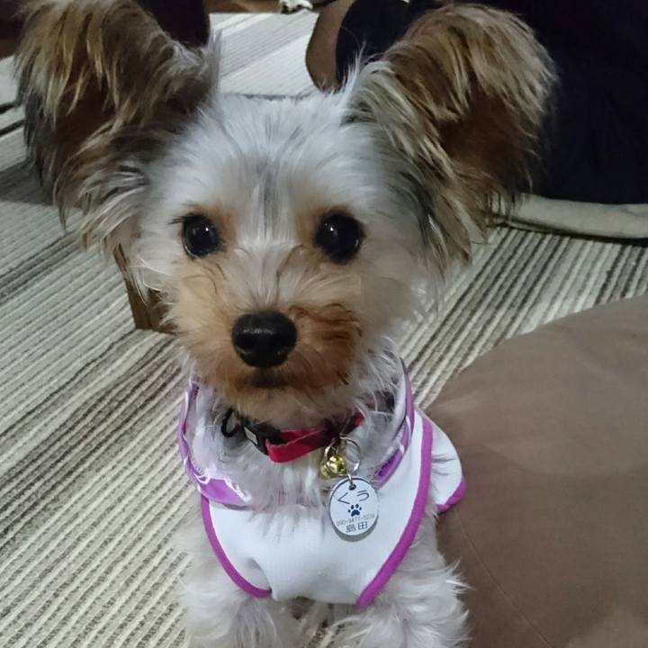 A2bf9673 6f2f 4c5b 9a36 1b37668a3578