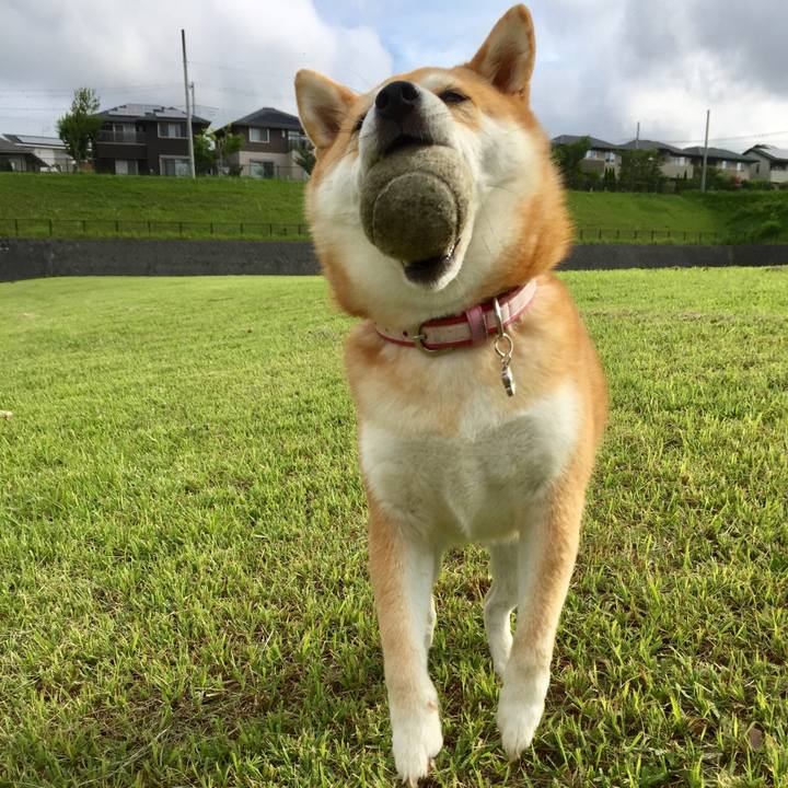 A2bfce7c 9318 4fb3 823e 52c0435f10bc