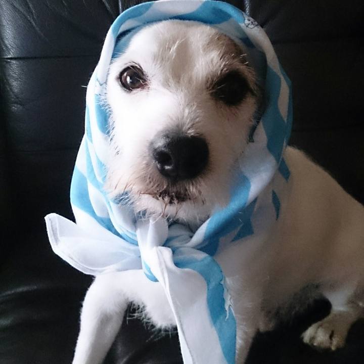 A2c026f9 1485 4501 824a 8f3c1912e38b