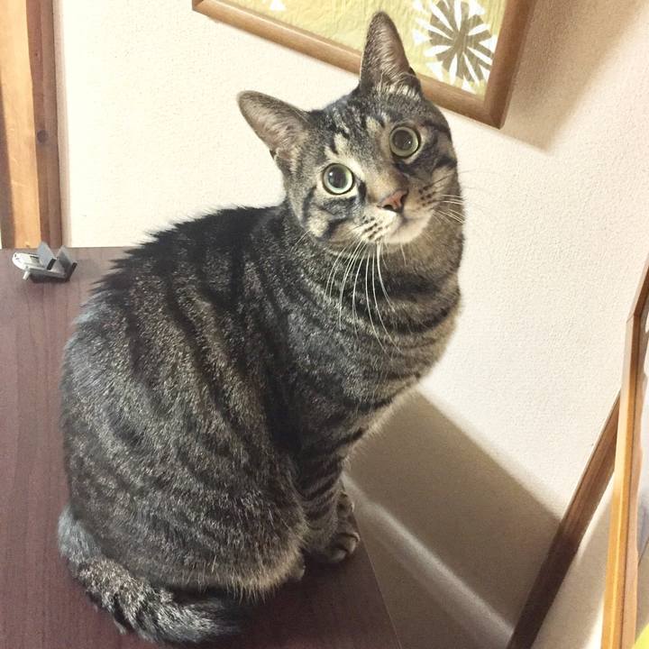 A2c07637 f47e 4f02 95f0 096d13d229f6