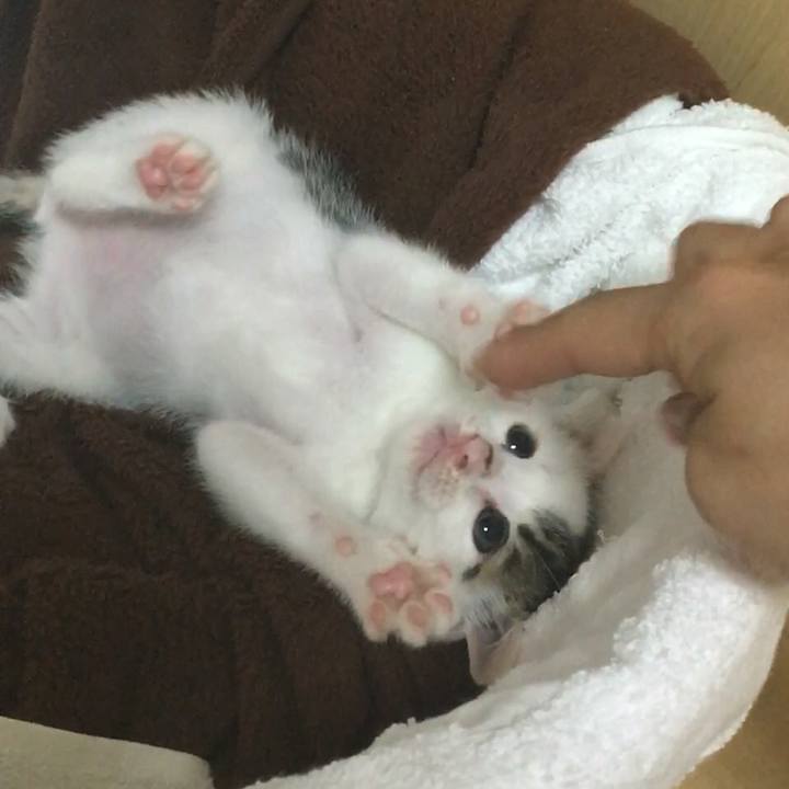 A2c094e6 bfec 4409 9c5a 827be4d0292c