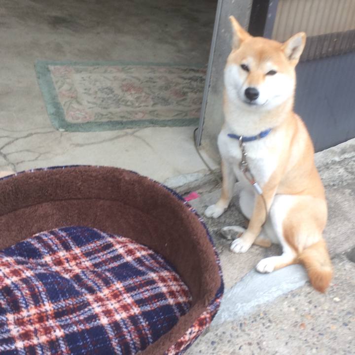 A2c09f4c 1b84 475b bedf 12c08ea81b45