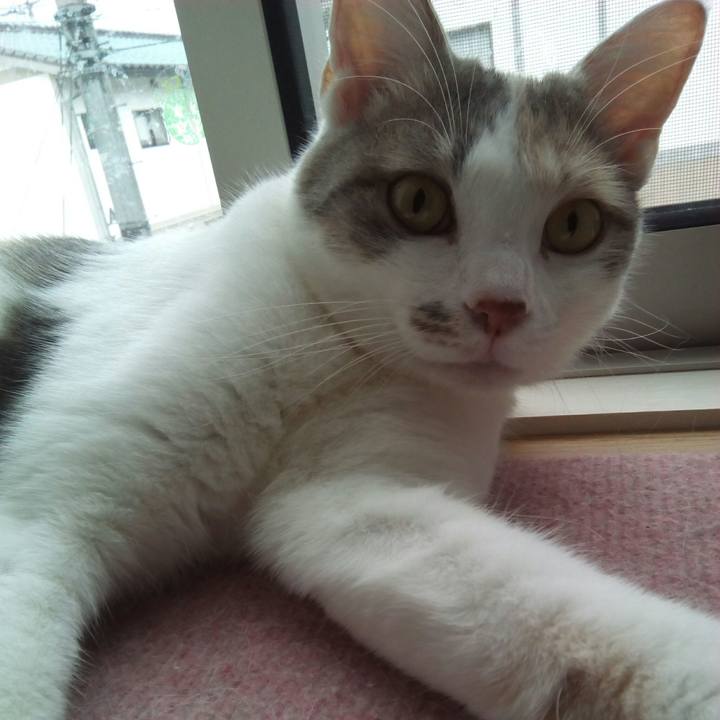 A2c0aefa 5f45 4014 bfe5 8643408e2e09