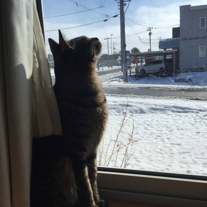 A2c0d7c1 62dd 40c4 a6e2 273827d7b274