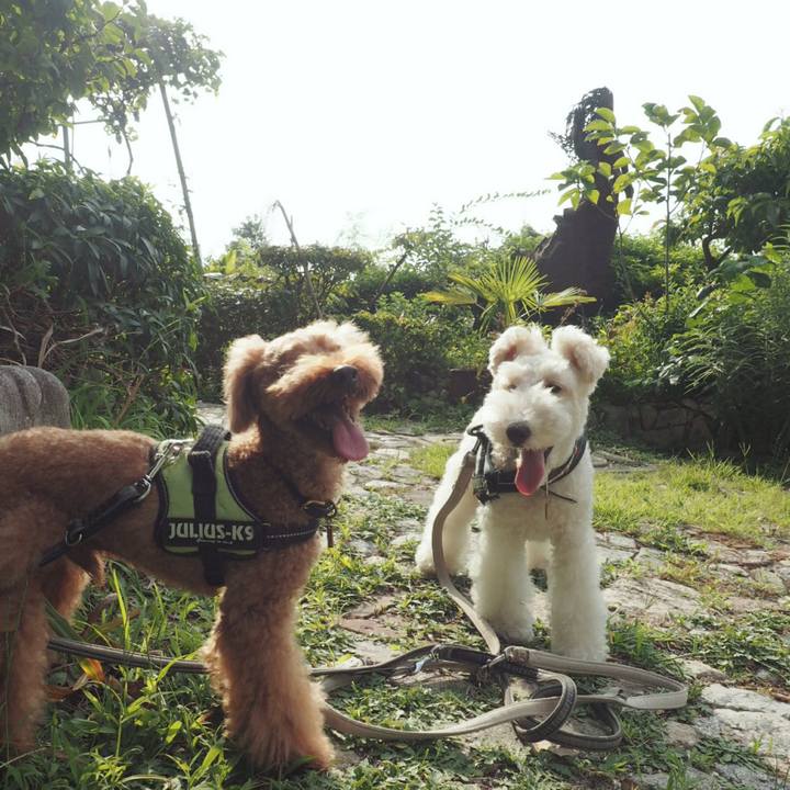 A2c12cca 0fb8 4fda b88b c4944c6f3710