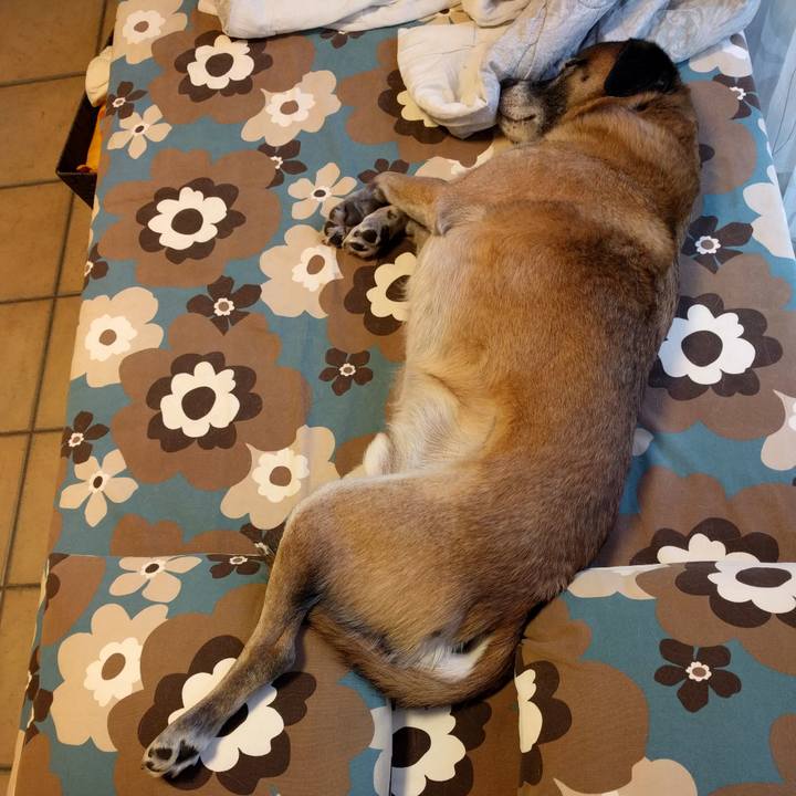 A2c177da d2d3 453b 858a eb99aab88aa3