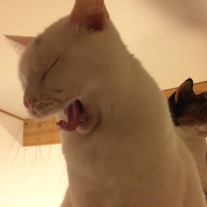 A2c1f572 2ac8 4977 b43b 4d653b010c90