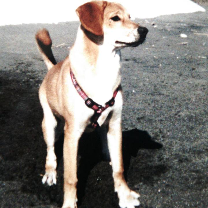 A2c31dc6 df91 496f a3b7 7edee33c76f6