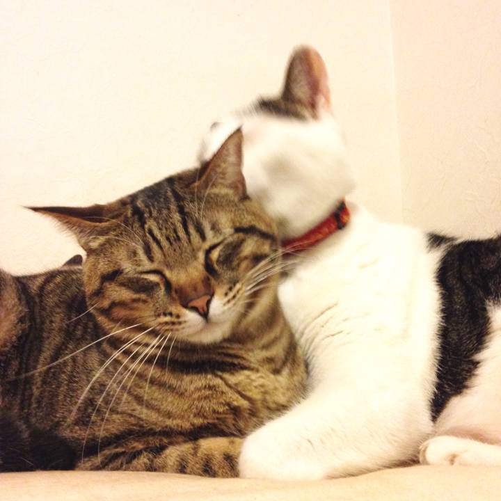 A2c328ab 84bb 4314 9f65 c52f3bfedb11