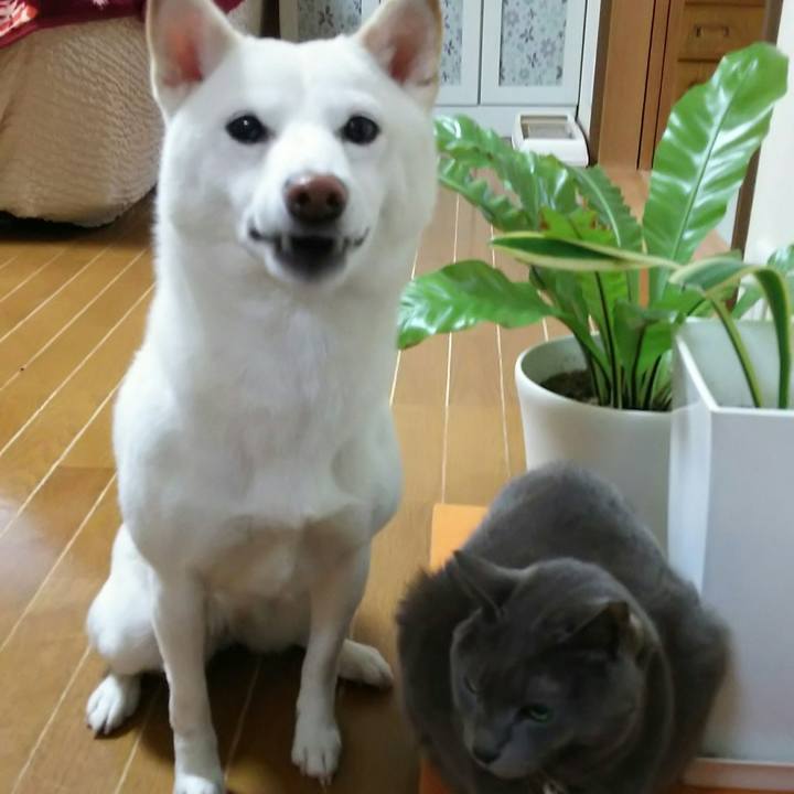 A2c34ad6 29d0 4382 bf11 19f84813380f