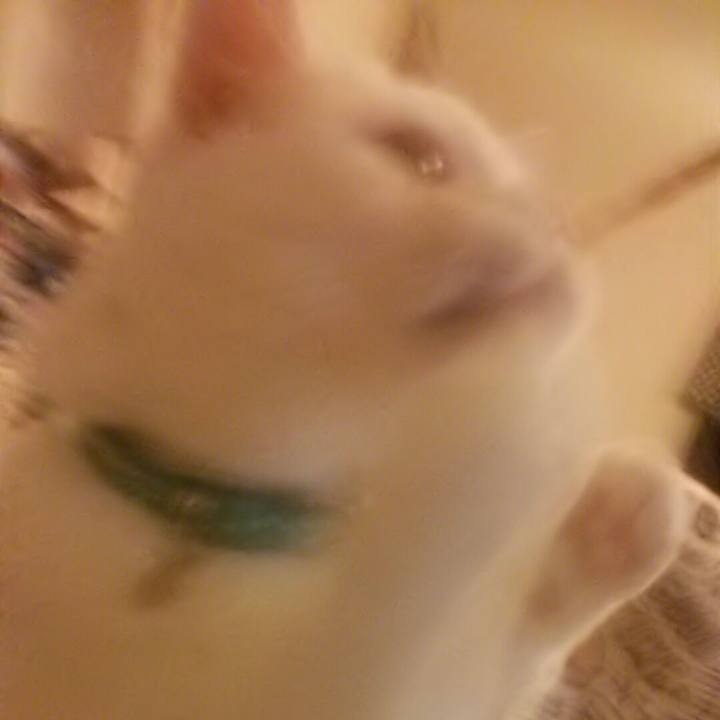 A2c430f3 8471 4396 b79a d1dc56cf2d8d