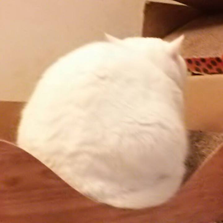 A2c4d8ef 6e04 4623 b95b 30ac0859c6db