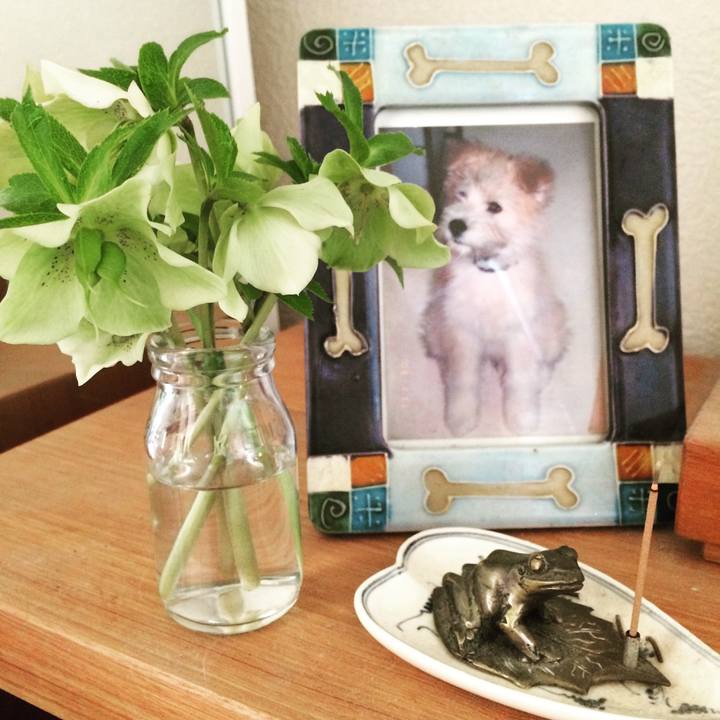 A2c4e328 851d 4290 a06a 804201582fd1