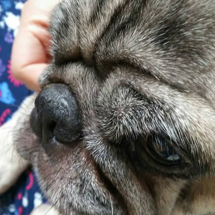 A2c574c2 0003 4f61 8769 4401868b2124