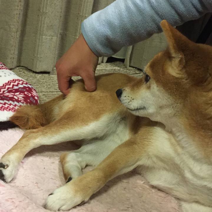 A2c69dfa 818f 47df a164 a4183cb52f7e