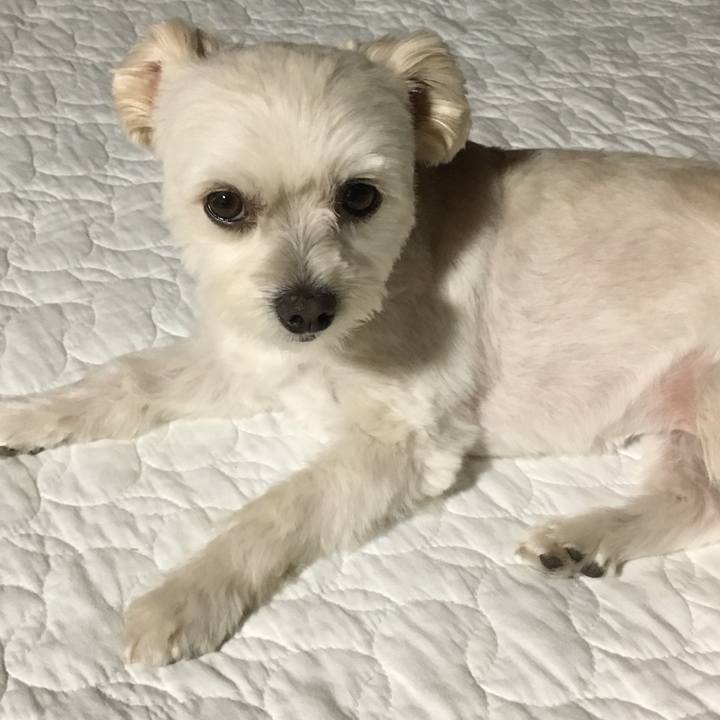 A2c6f8be 8be4 4a85 868b 04f114b591fa