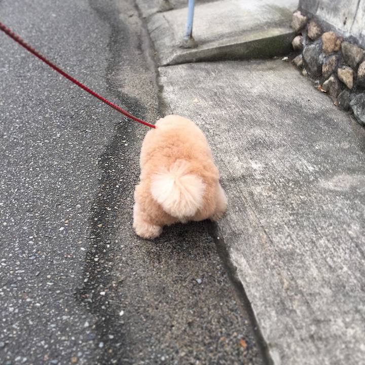 A2c6ffd8 e706 4e8f 9eac 001dc3149cfb