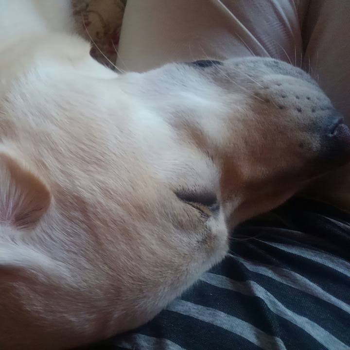 A2c75abf 8fd2 460f b7bd 3125fa417412